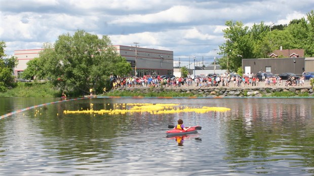 Les canards prennent d'assaut la rivière Chaudière