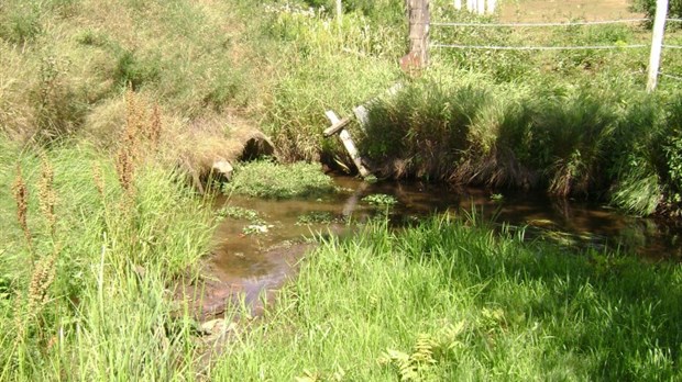 Restauration à la tête de la rivière Cugnet