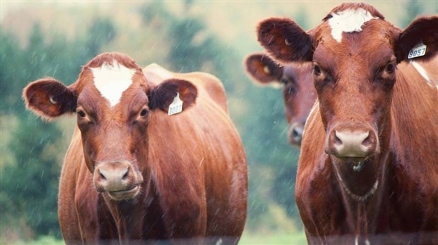 L’agriculture québécoise tire son épingle du jeu en Amérique du Nord