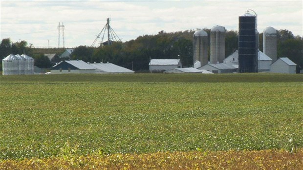 Les récoltes sont bonnes en Chaudière-Appalaches