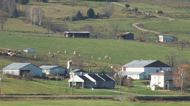 Hausse de la valeur des terres de cultures et agricoles