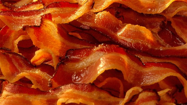« Les Éleveurs de porcs de la Beauce » invitent la population à célébrer la journée du bacon