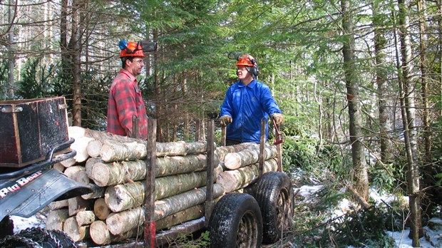 Des producteurs de bois de la Beauce affectés par la fermeture de l’usine Laurentide de Shawinigan