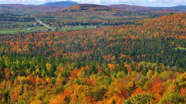 Un marché public aux 3 monts pour fêter l’automne