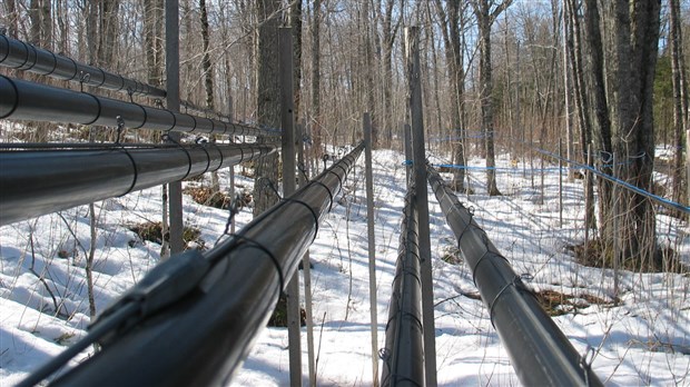 Une journée acéricole le 22 janvier à Sainte-Marie