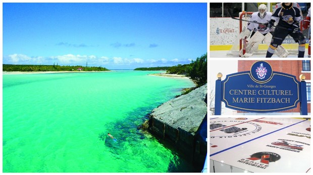 Choix de sorties et activités pour la semaine du 9 au 15 janvier