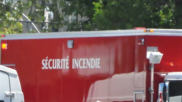 EN BREF | Plusieurs porcs meurent lors de l'incendie d'un bâtiment d'une porcherie à Saint-Ephrem