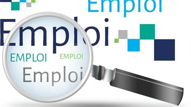 Des ateliers gratuits pour les chercheurs d'emploi de plus de 55 ans