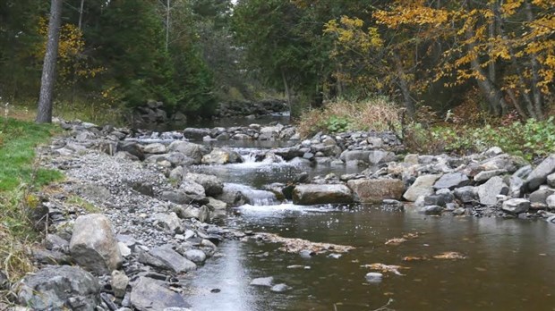 Un habitat amélioré pour les poissons du ruisseau d'Ardoise