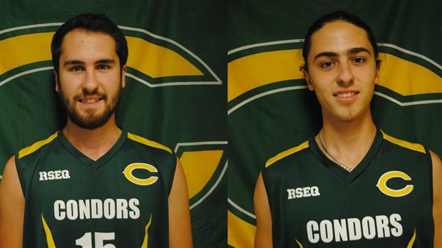 Volleyball : Un tournoi plutôt difficile pour les Condors