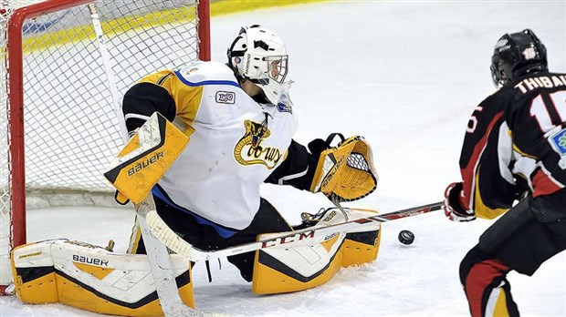 Steven Veilleux cumule les honneurs dans la LHJQ