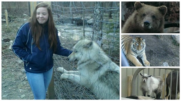 Une belle visite au Zoo Miller