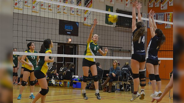 Volleyball : un tournoi parfait pour l’équipe féminine des Condors