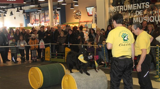 Le salon « Info Canin » est présenté au Carrefour Saint-Georges