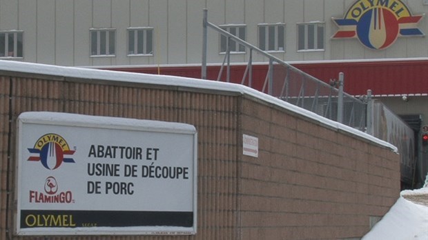 Les travailleurs acceptent l'offre d'Olymel dans une proportion de 70%