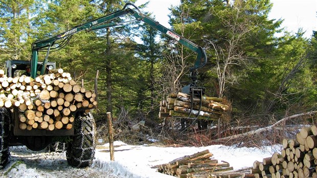L’Association des propriétaires de boisés de la Beauce se dotera d’une nouvelle image
