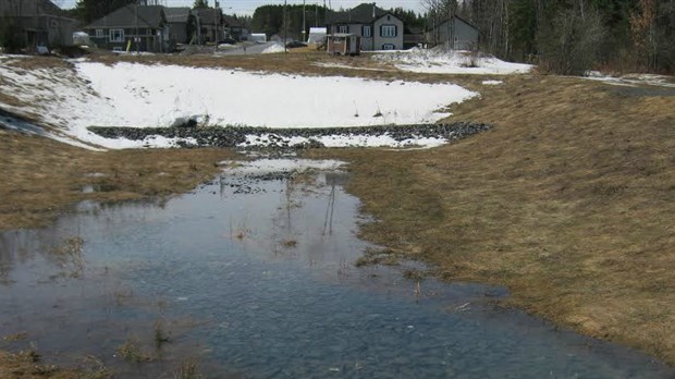 La Ville de Saint-Georges reboisera en juin près de la 23e rue