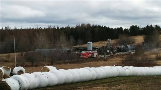 Incendie à Saint-Victor: 400 moutons meurent dans une bergerie