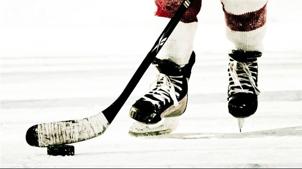Deux clubs en Chaudière-Appalaches pour la nouvelle Ligue de hockey sénior provinciale