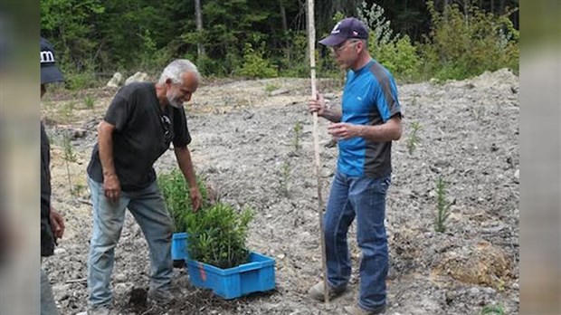 Éco-Habitation : de formation à reforestation en Beauce