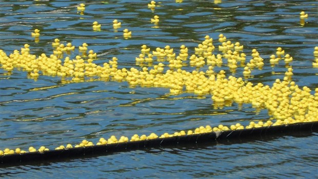 Normand DeLessard présente la course des petits canards 2015 à Saint-Georges