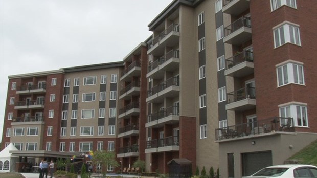 Une exposition pour rendre hommage à Borromée Bourque artiste-sculpteur se tiendra au Manoir du Quartier