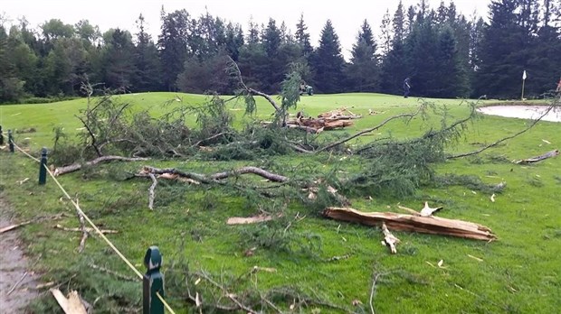 EN BREF | La foudre s'abat sur un arbre du terrain de golf de Saint-Georges