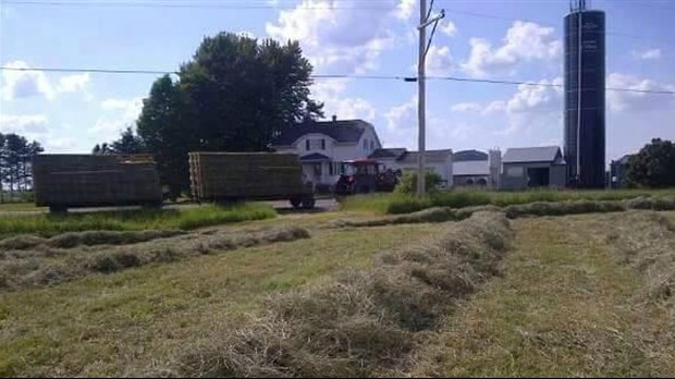 Méchoui estival annuel de La Relève agricole de la Chaudière-Appalaches