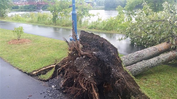 La pluie et les forts vents causent des dommages à Saint-Georges