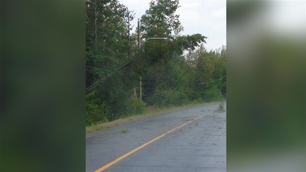 EN BREF | La tempête de lundi a fait des ravages sur le réseau d'Hydro en Beauce-Sartigan