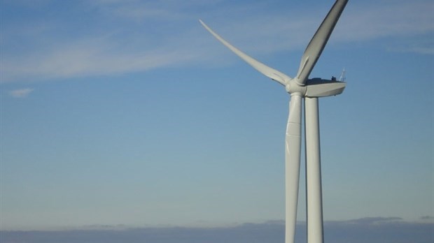 Frampton aura ses éoliennes