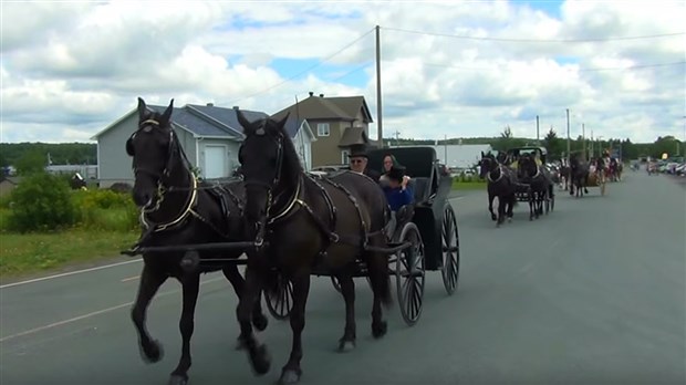 Normand DeLessard présente la parade de chevaux de l’Exposition agricole de Beauce