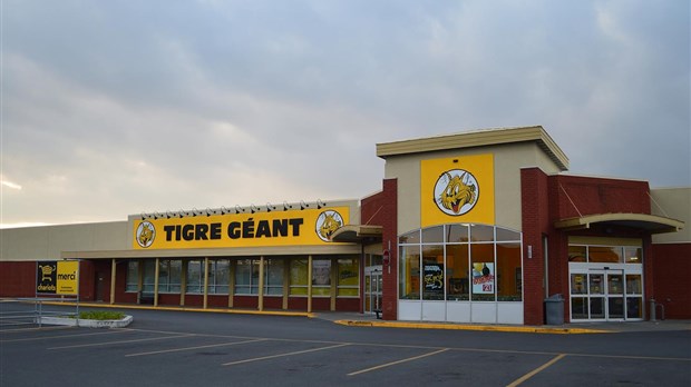 Le Tigre Géant s’installera à Saint-Georges en avril 2016