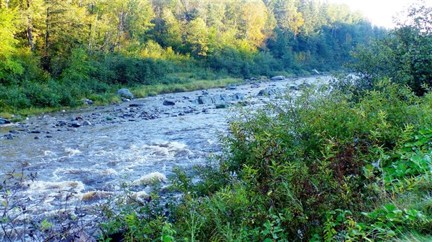 La Ville de Saint-Georges acquiert des terrains d’Hydro-Québec au coût de 200 000 $