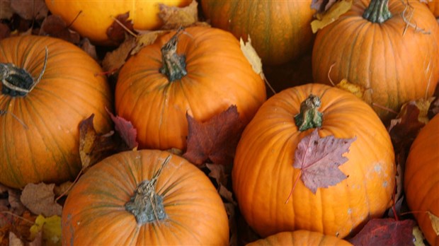 La Route des incontournables en octobre : Halloween et couleurs d’automne en vedette