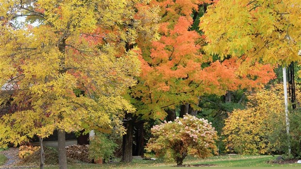 L’automne « EnBeauce.Joy »