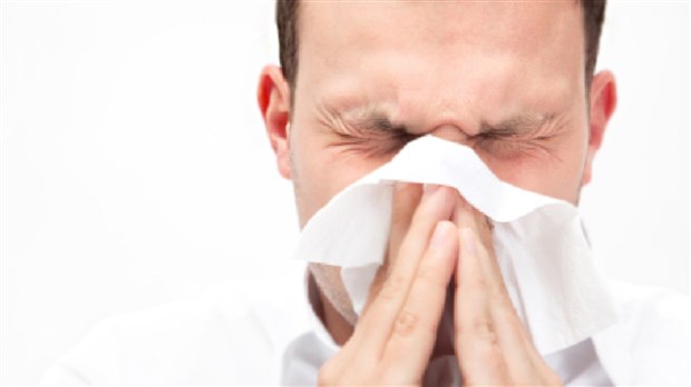 Vaccin contre la grippe saisonnière