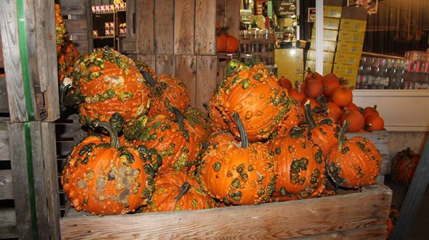 C’est ce temps-ci de l’année : l’Halloween, ses citrouilles, ses légendes et ses bonbons