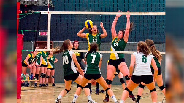 Volleyball : les Condors partagent le 2e rang après la première moitié de la saison
