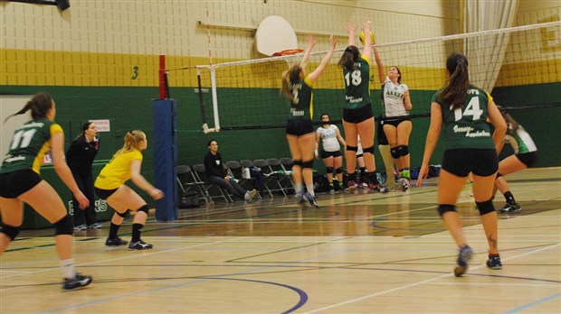 Volleyball division 2 : les Condors accèdent aux Championnats de la conférence Nord-Est