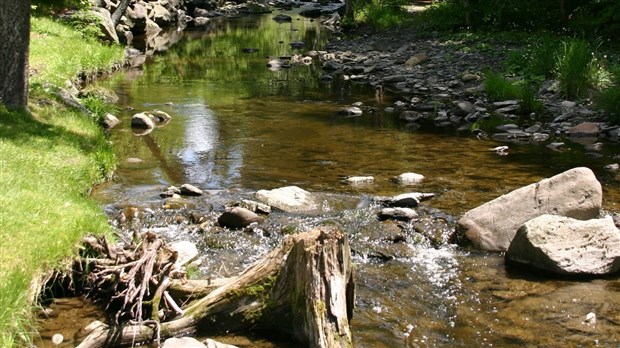 Le COBARIC obtient son feu vert pour son nouveau Plan directeur de l’eau