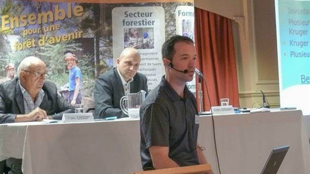 Le prix du sapin-épinette de quatre pieds chute