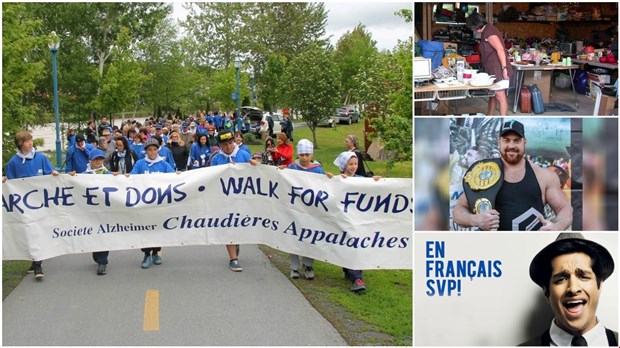 Choix de sorties et activités du 27 au 2 juin