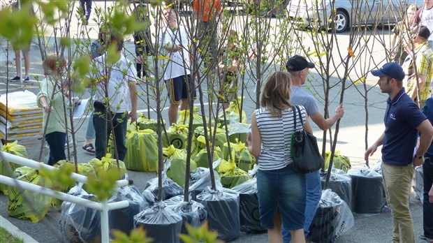 La Ville de Saint-Georges distribue 50 arbres dans le cadre de son concours « Un arbre pour l’avenir »