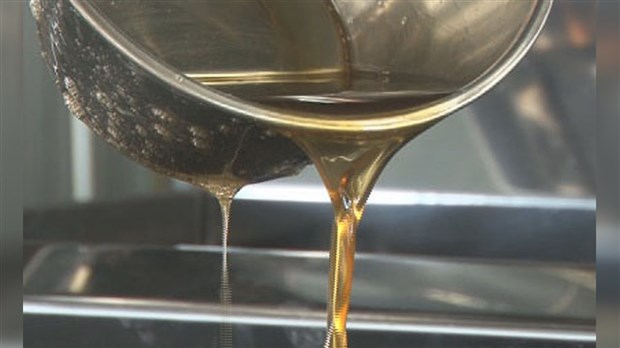 Récolte record de plus de 148 millions de livres de sirop d'érable