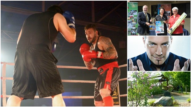 Choix de sorties et activités du 3 au 9 juin