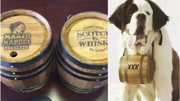 Marto Napoli offrira du whiskey brassé par un Saint-Bernard