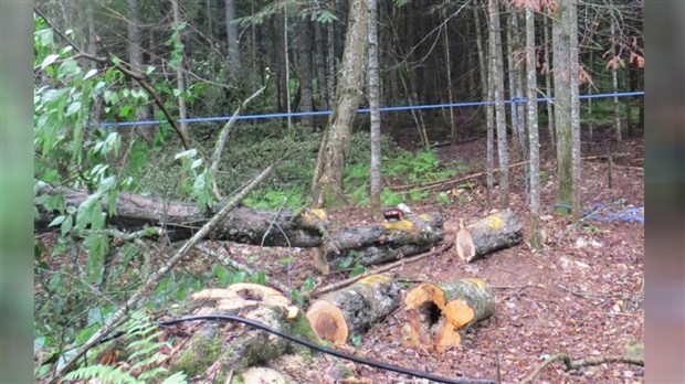 La CNESST publie son rapport sur la mort d'un travailleur de la ferme Sigi 
