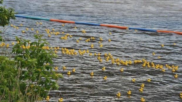 La Grande course des petits canards permet d'amasser plus de 16 000 $ pour le CNRB