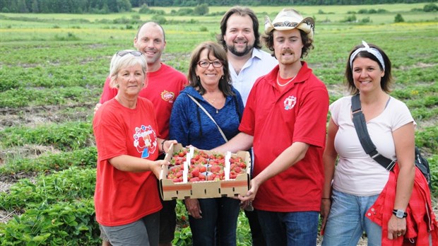 La saison des fraises est lancée en Chaudière-Appalaches